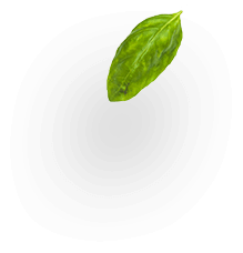 #image_title