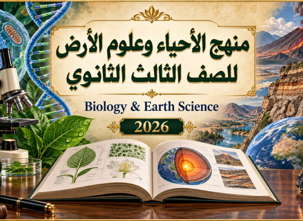 c07c3a4a-074c-4cd0-b2c8-13ff428e6df1